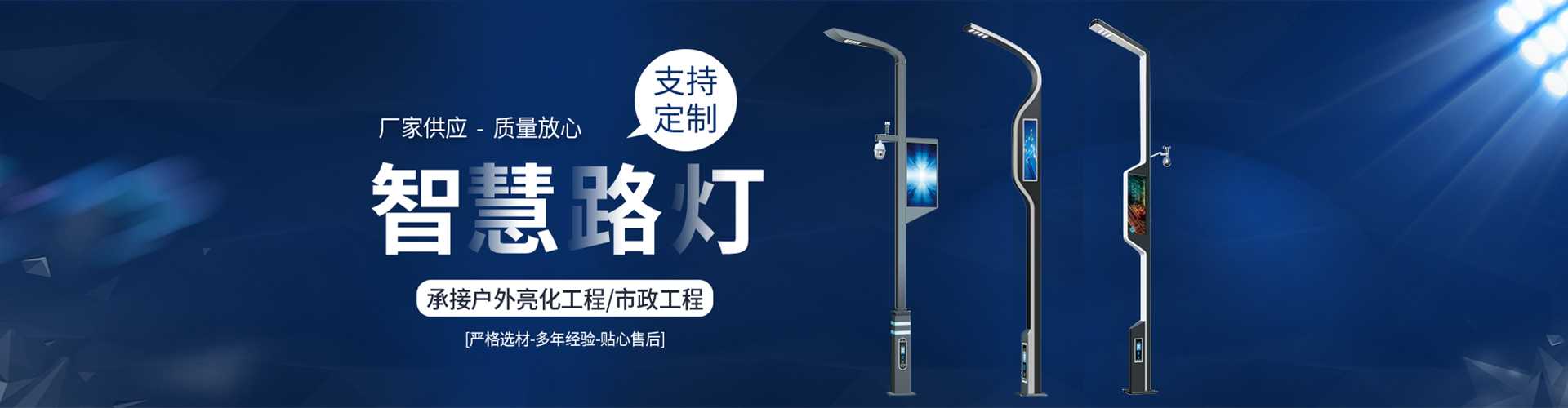 东营市太阳能路灯定制厂家