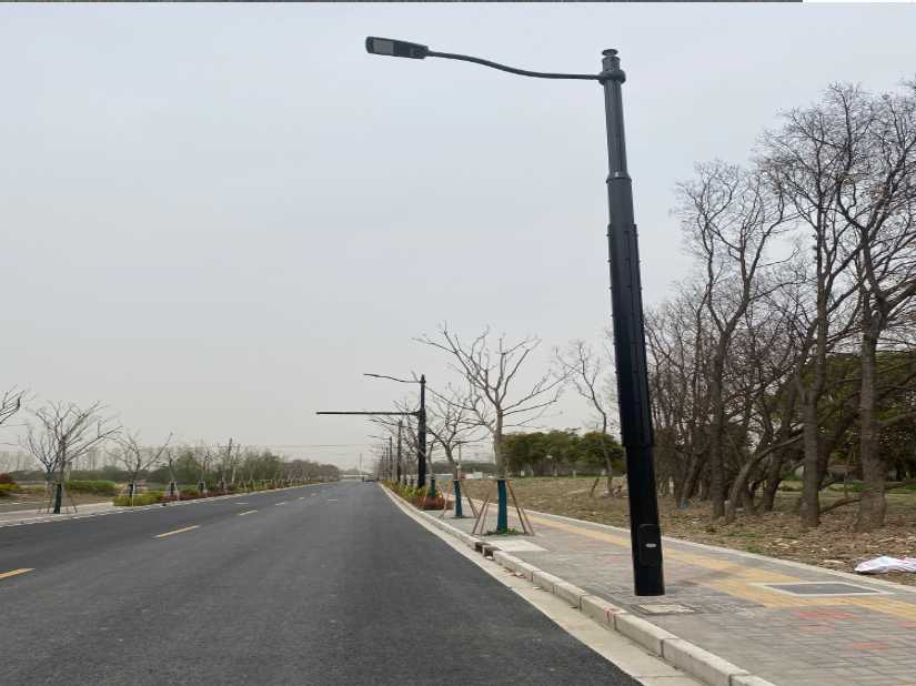 东营市上海综合杆 太阳能路灯工程